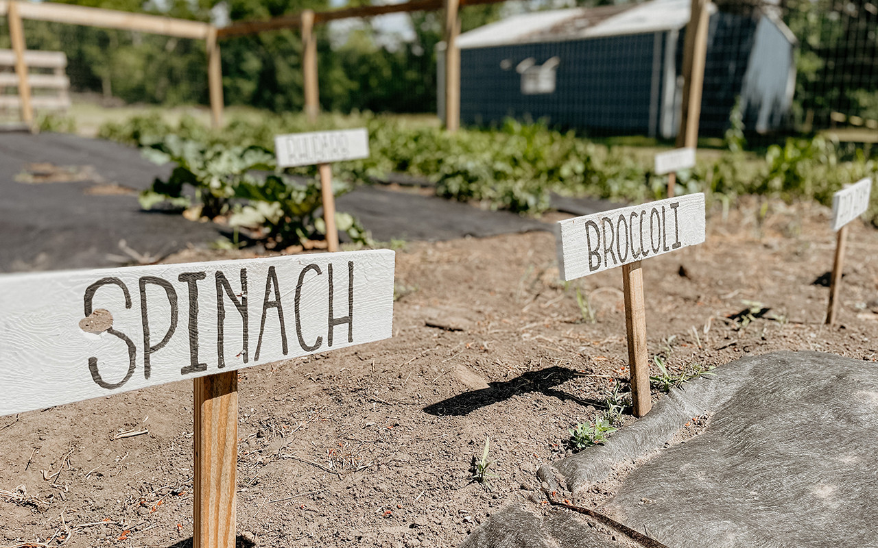 Why does your garden need humic acids?